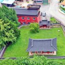 석성동헌 탱자나무 이미지