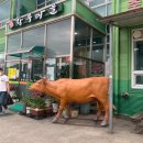 순천황우 이미지