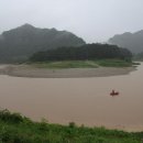 영월, 폭우에 불어 난 청령포 서강물 2011.07.27 오후2시~4시~5시 이미지
