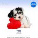 월 이미지