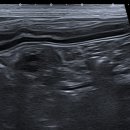 늘곁에동물병원 이미지