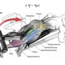 피트니스 13월 이미지
