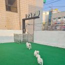 문외동 행복 이미지