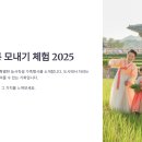 인성감수성 키우는 초등그림책 인문학 | 세종대왕릉 모내기 체험 2025｜초등학생과 함께하는 농사직설 가족행사 3가지 꿀팁