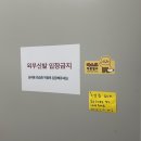 앨리스댄스스튜디오 이미지