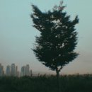 별이빛나는밤에1 이미지