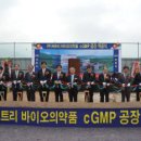 씨트리