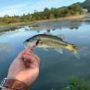 죽림낚시 이미지