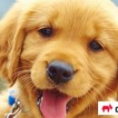 야생동물의료센터 이미지