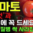 토마토 '이렇게' 먹으면 암덩어리까지 싹 사라집니다! 항암 토마토 만드는 법, 토마토 이젠 이렇게 드세요! 온갖 염증 없애는 꿀팁 요리 이미지