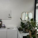 살롱드몽몽 이미지