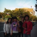 승철목장 Daum카페