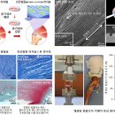 ■ 어깨 힘줄 파열 치료할 조직 공학적 인공 힘줄 개발 이미지