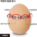 도장농장 이미지
