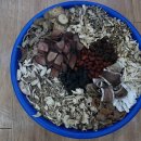 녹용대보차 주문 받습니다 이미지