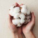 유천동솜틀집 이미지