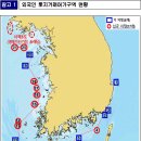 직도1(소피도) 네이버블로그