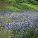 (주)수레 이미지