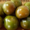 흑토마토 효능 이미지