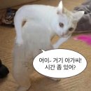 유림메이크업