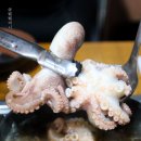 조개짐송정점 | 구미 송정동 봄 제철 활 쭈꾸미 샤브샤브 맛집 조개짐 추천