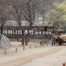 제11회 감성문화제 영상시 문학상_대한민국예술대전대상_장정희_낭송 정설연_편집 윤기영 이미지