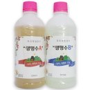 식물A 이미지