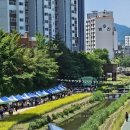 여천천 희망고래선  화장실 | 울산 남구 나들이 아이랑 갈만한 곳 여천천 도산교 벽천분수와 희망고래선