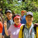 가평 '잣향기푸른숲' 버스투어 종합(240428) 이미지