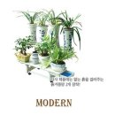 ModernLife 이미지
