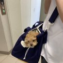 연경동물병원 이미지