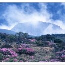 산천초목 이미지