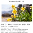 화요일아침예술학교 이미지
