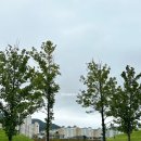 순천만갈대이야기노래연습장 | 순천만국가정원 처음방문후기 부모님이랑, 모노레일 필수온라인예약