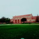 코리아 블랙벨트 센타 이미지