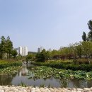 부산시민공원 이미지