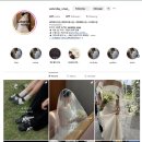 &lt;WEDDING&gt; 웨딩플래너없이 웨딩준비하기! 뭐부터 준비할지 모르는 예신들을 위한 준비과정 &amp; 팁!!