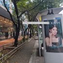 정자청소년수련관.분당클리닉 이미지
