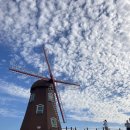 바다포토존 이미지