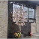 자이세탁소 이미지