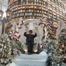 삼성도서관 | 데이트 하기 좋은 크리스마스 트리 명소 삼성역 코엑스 별마당도서관 방문 후기