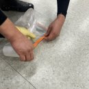 오복광택 이미지