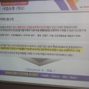 맥섬석 에스필 이미지