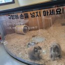 수달앤쥬 이미지