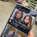 치앙마이 일일투어 코끼리체험 엘리핀팜 반캉왓 사이프러스레인 가성비 투어 추천 내돈내산 장단점 가격