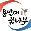 용인대 I 태권도장 이미지