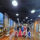 캥거루복싱GYM 이미지