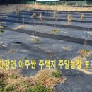 계천농장(2) 이미지