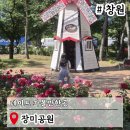 진남터널외부(창원) | 창원이색데이트 장미공원 실시간 꽃구경 가볼만한곳