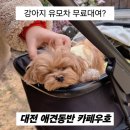 연못길 3-2, (문화동) | [공지] 문화동 카페맛집 카페우호, 댕댕이와 함께하는 대전 애견동반 카페 추천(유모차대여서비스...